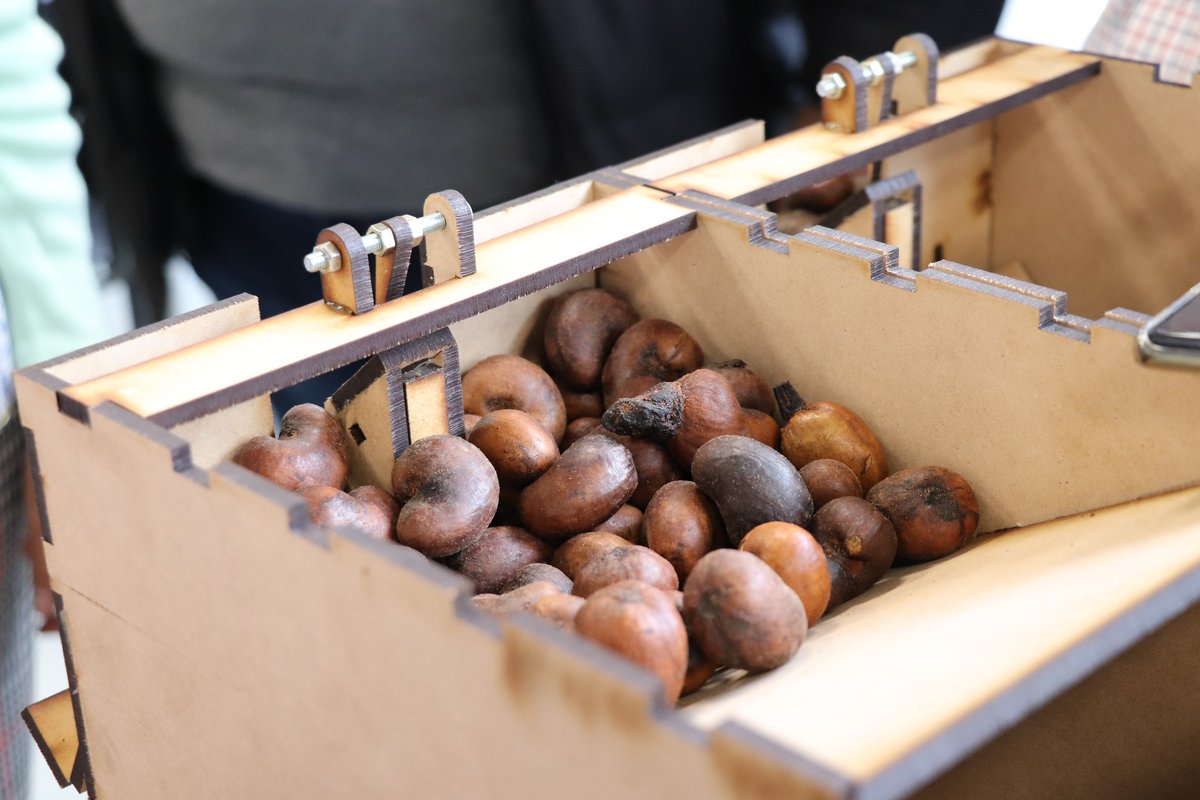 Máquina para marañones Escuela Ing (23)