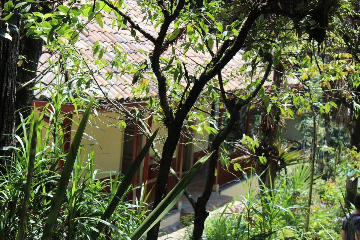 Centro de Bogotá - Julio Garavito