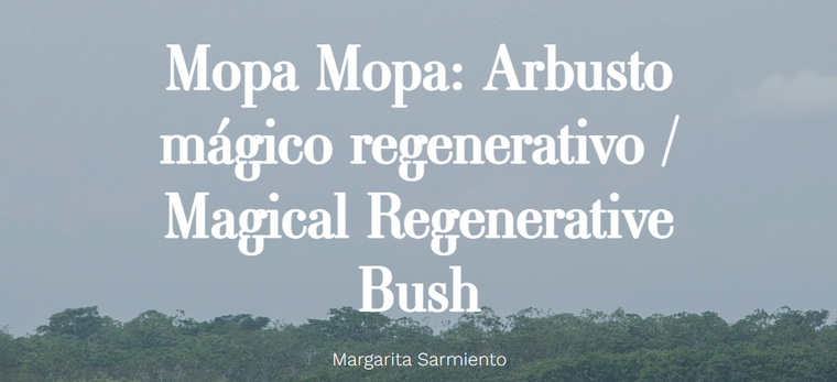 Mopa mopa Arbusto mágico regenerativo - Carma 0