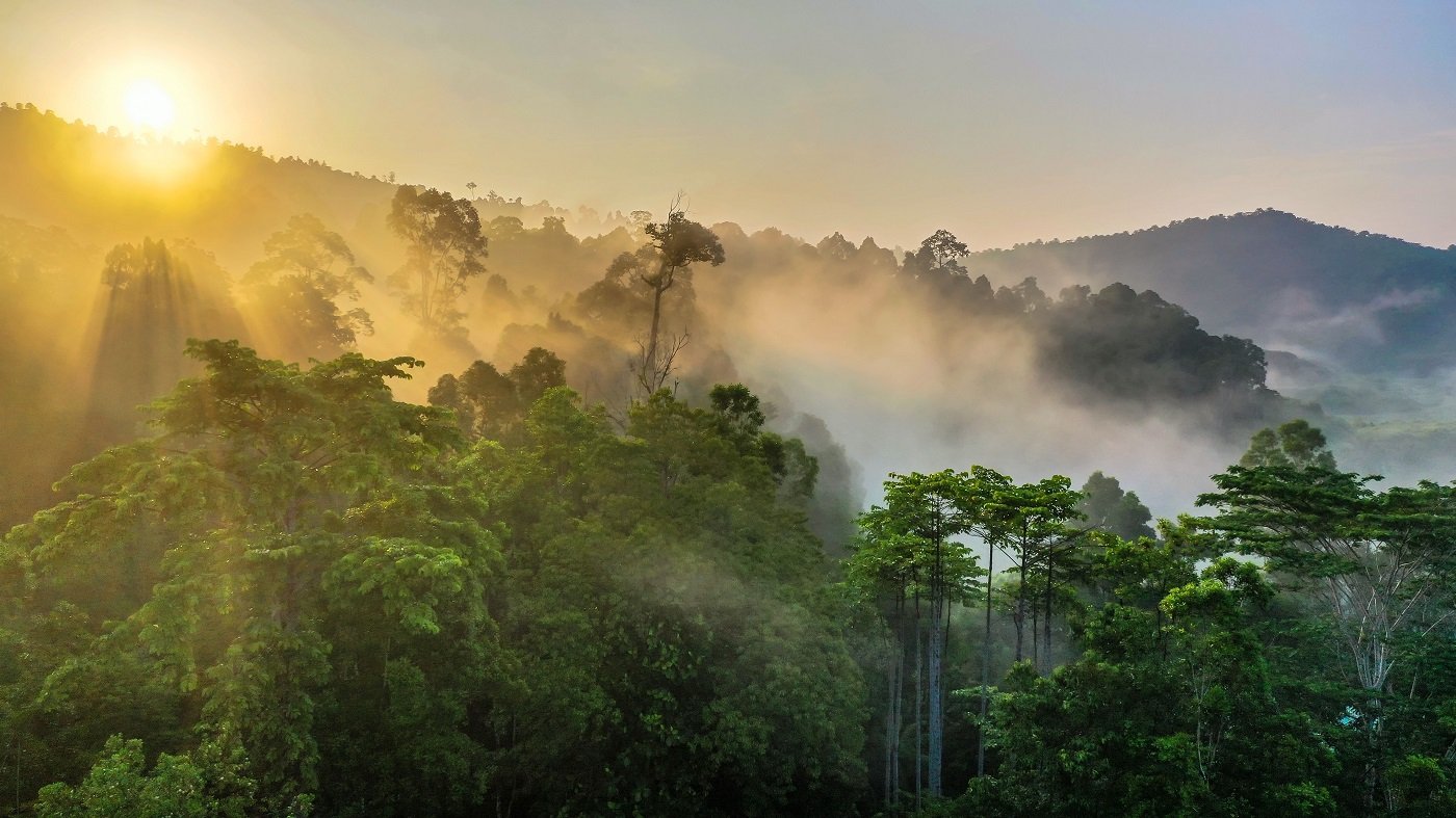 Naturaleza