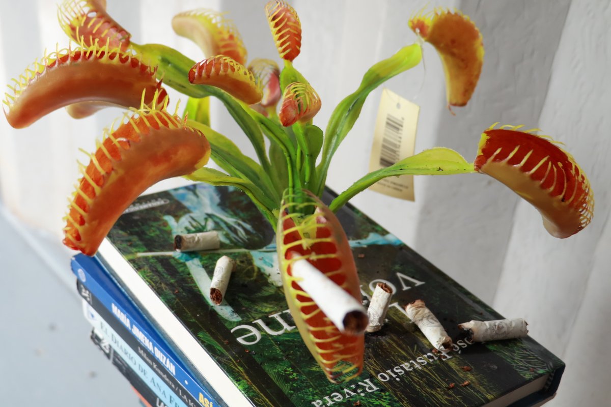 Nota Camilo Vásquez El Sur (4).