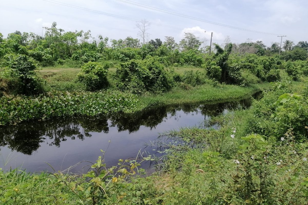 Distrito de Riego de María La Baja