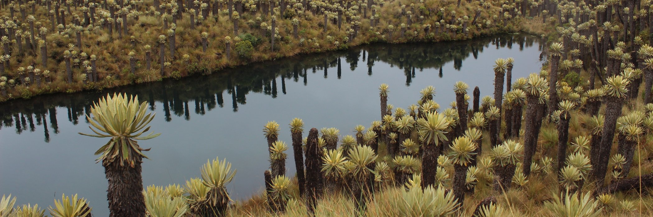 PORTADA Seminario Hidráulica Cropped