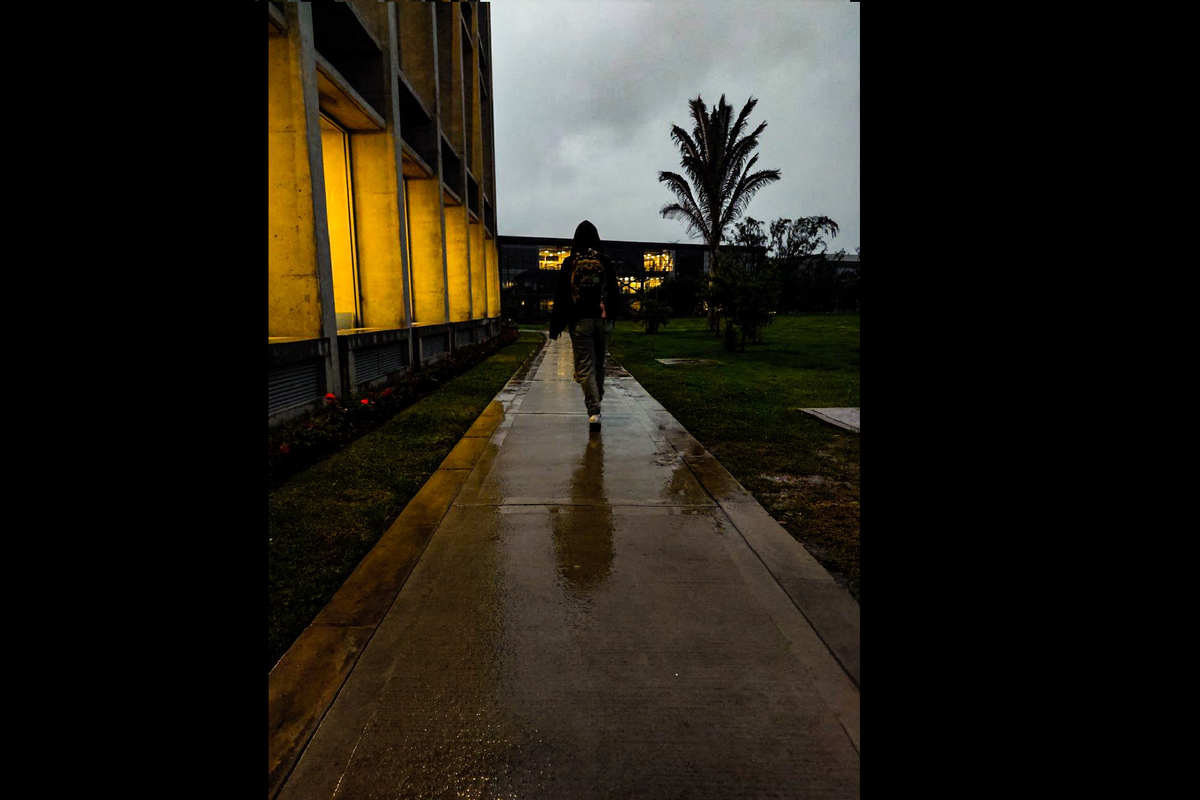 Paradigma estudiantil