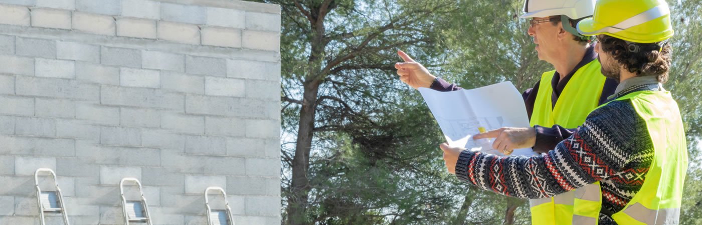 Patología de Estructuras.jpg