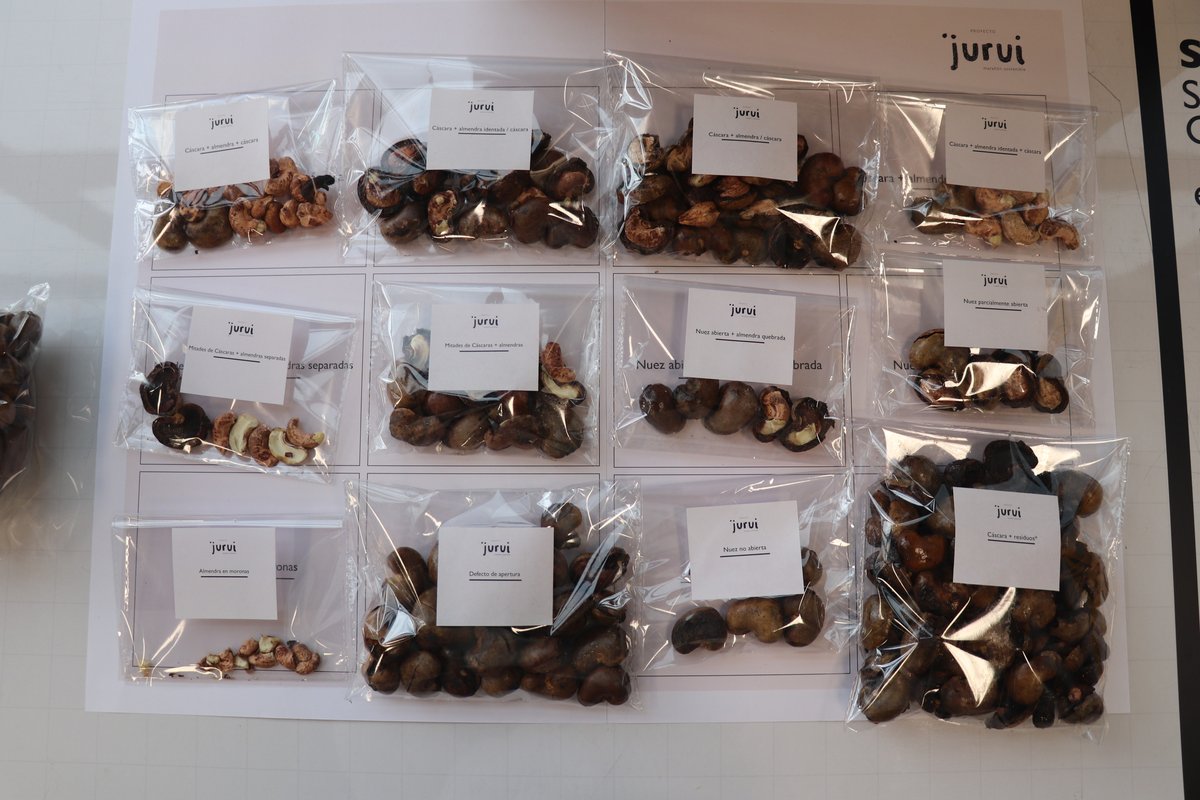 Proyecto Marañón Sostenible (11)