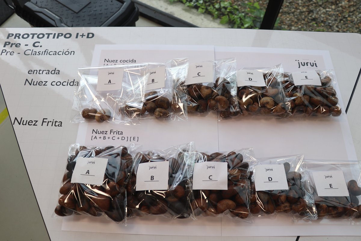 Proyecto Marañón Sostenible (10)