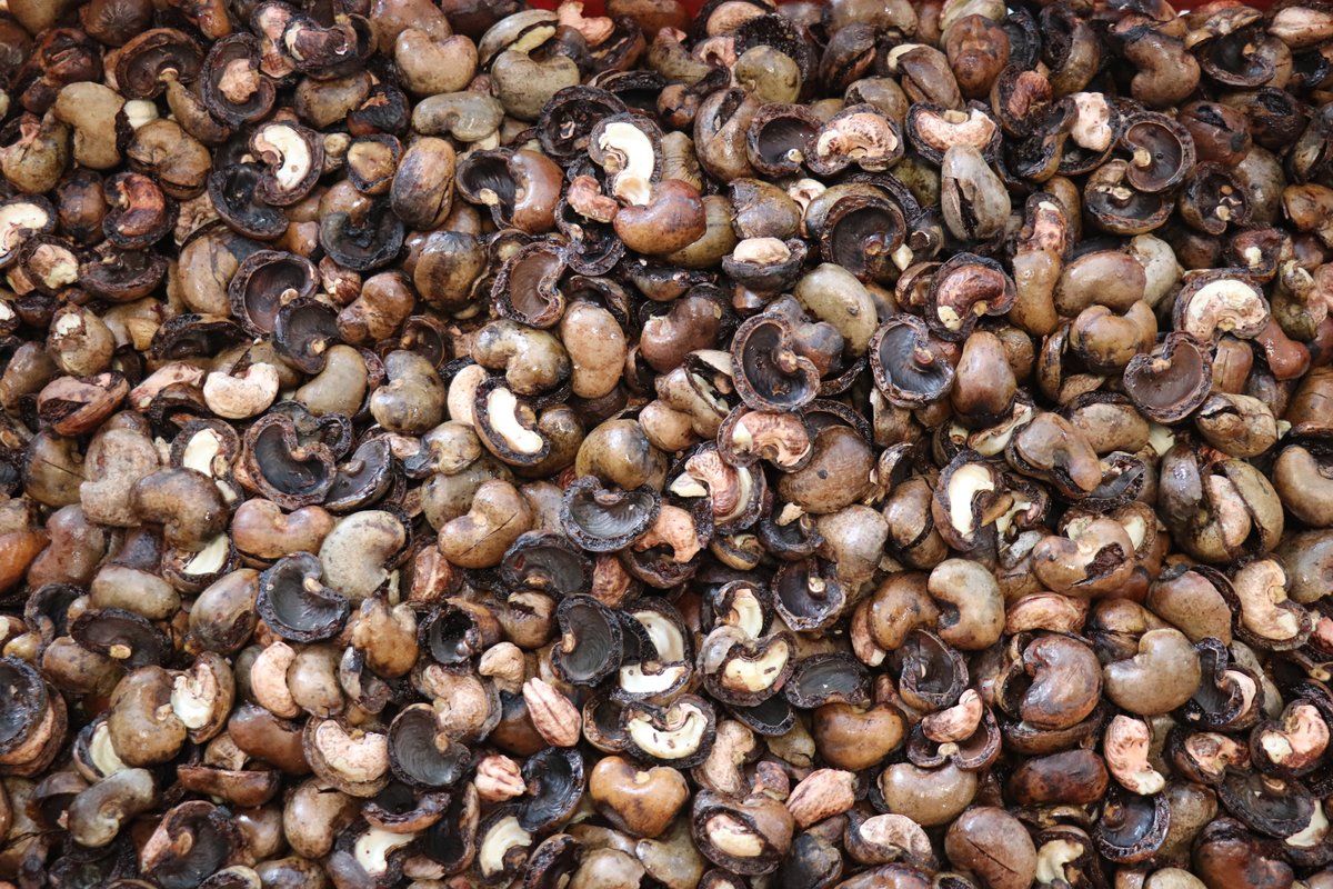 Proyecto Marañón Sostenible (15)