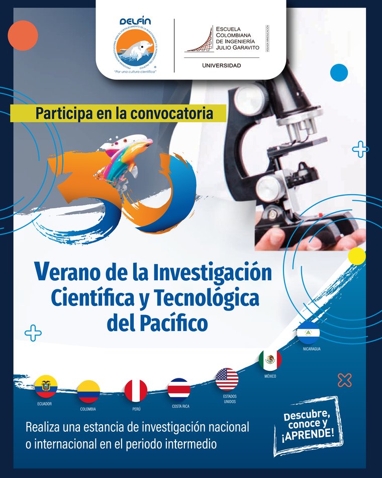 RRSS verano investigacion - delfin_Mesa de trabajo 1