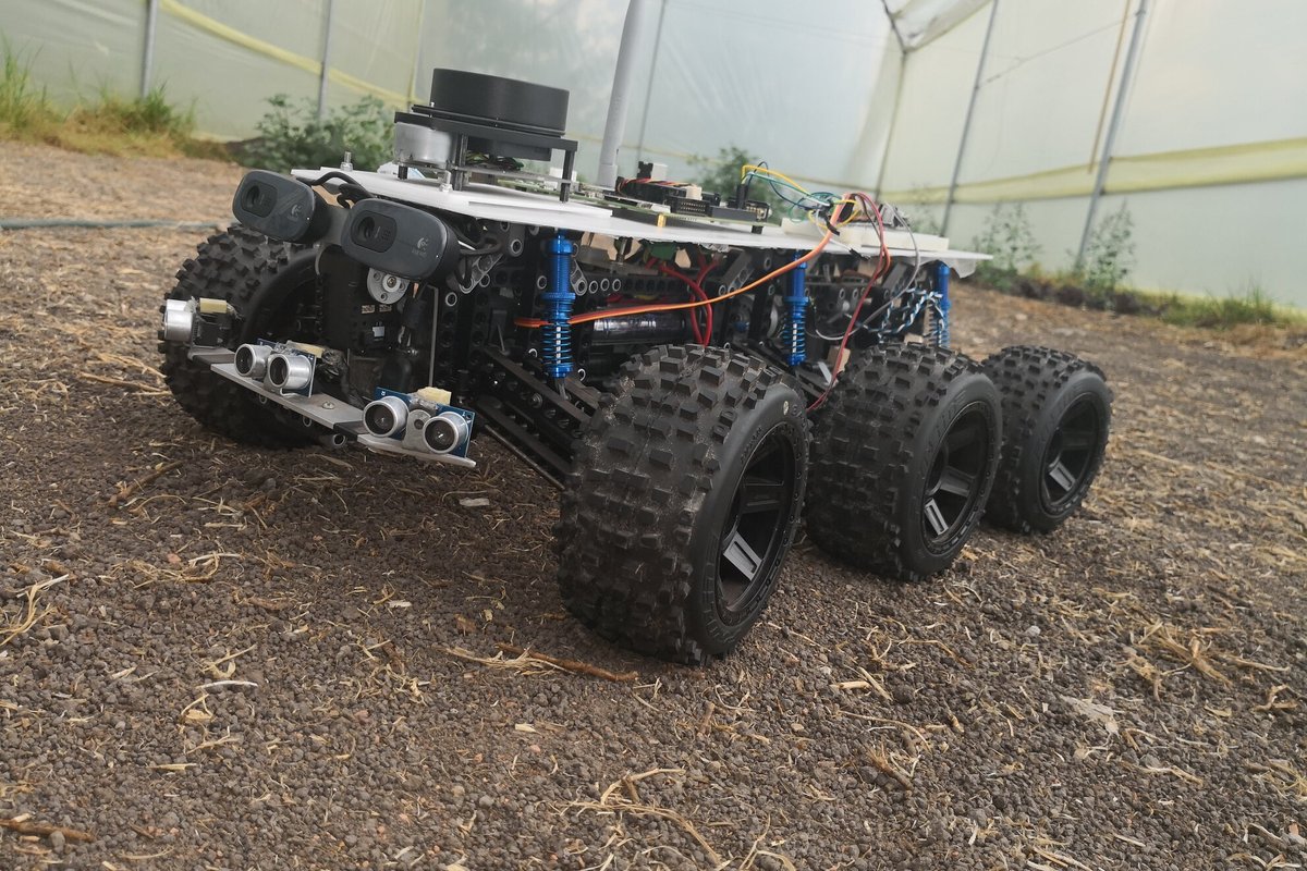 Rover (3)