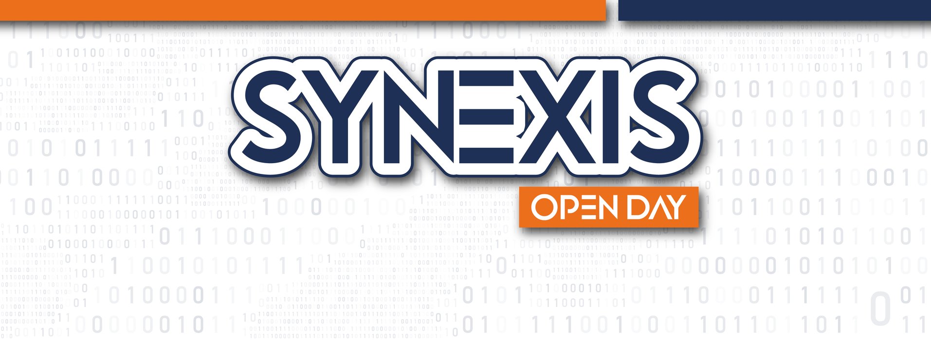SINEXYS-RRSS_portal