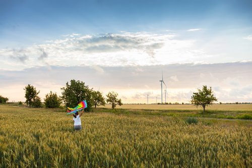 TERRITORIO Y GOBERNANZA