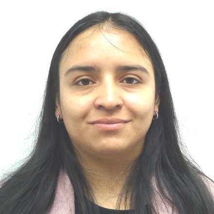 TORRES LOZANO DERLY KATHERINE - Julio Garavito