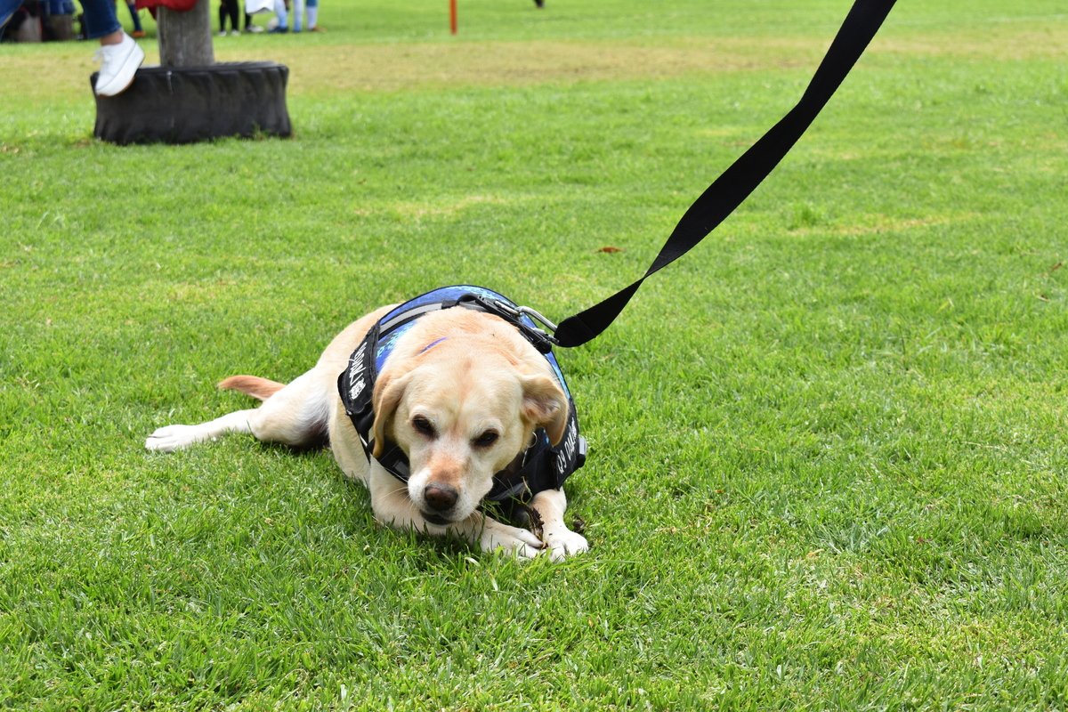 Torneo de fútbol 2022-2 (10)