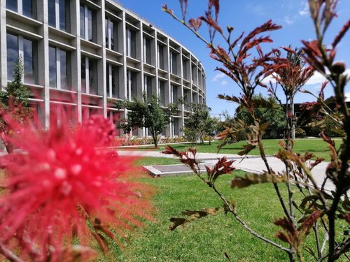 CAMPUS