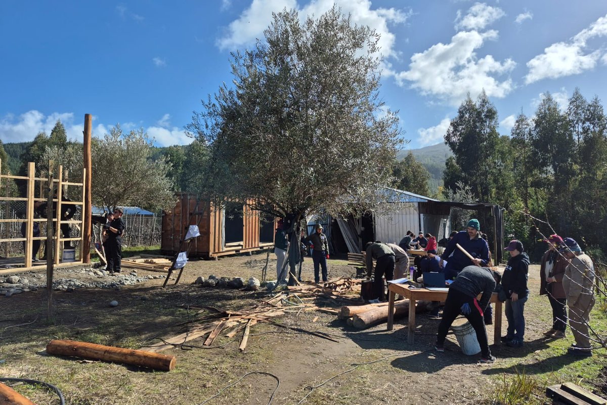 WhatsApp Image 2025-09-11 at 1.18.56 PM