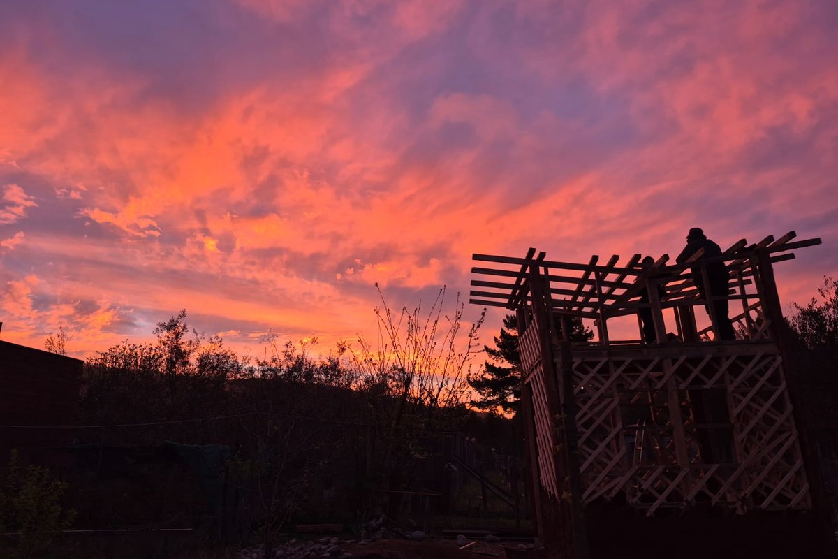 WhatsApp Image 2025-09-17 at 8.43.23 AM