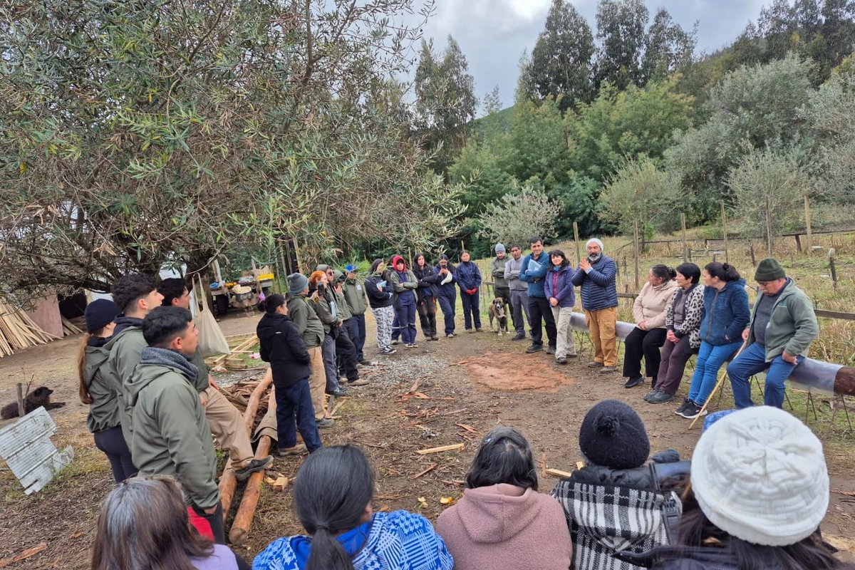 WhatsApp Image 2025-09-17 at 8.43.22 AM (1)