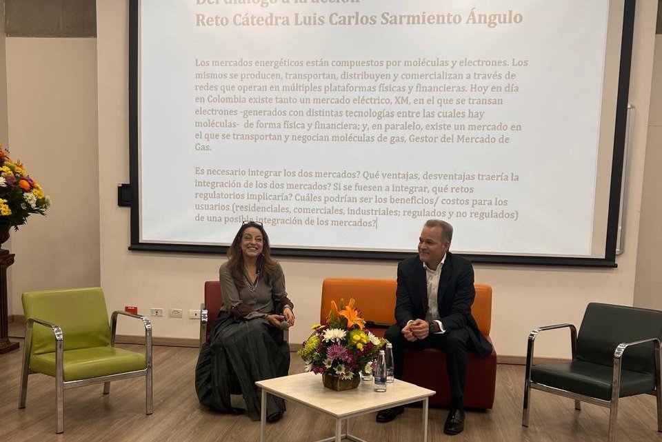 CATEDRA LUIS CARLOS SARMIENTO ANGULO