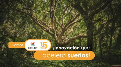 INNOVACIÓN Y LA IA
