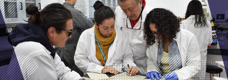 banner portal comunicado 29_Mesa de trabajo 1 copia.jpg