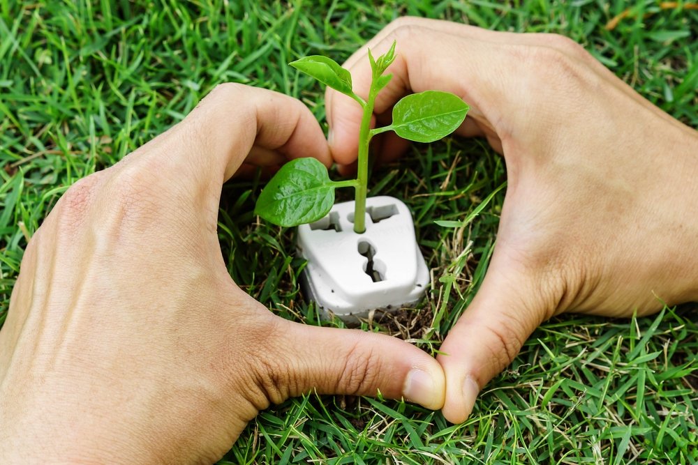 energía verde energía limpia