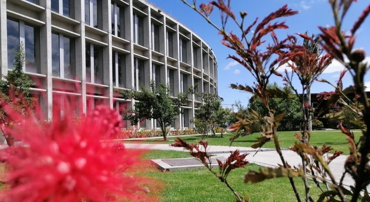 ESCUELA
