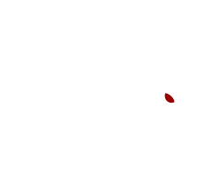 ico_health_bn.png
