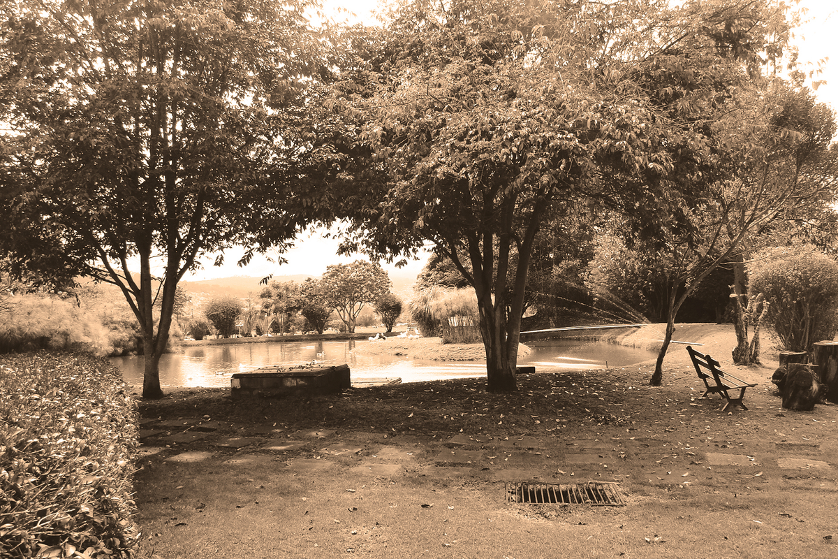 lago del centro de reflexión