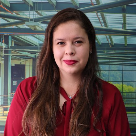 LAURA CRISTINA LESMES POSADA