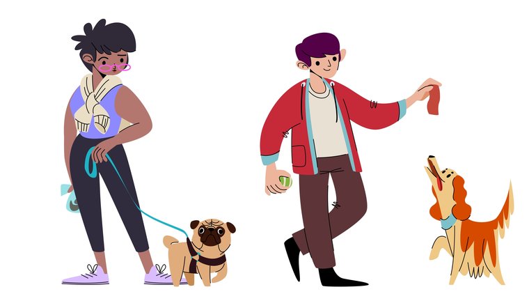 mascotas cuidados