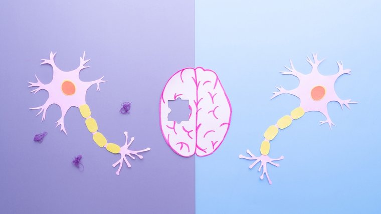 neurodegeneración