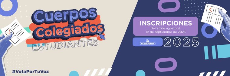 portal 2025v3 CUERPOS colegiados