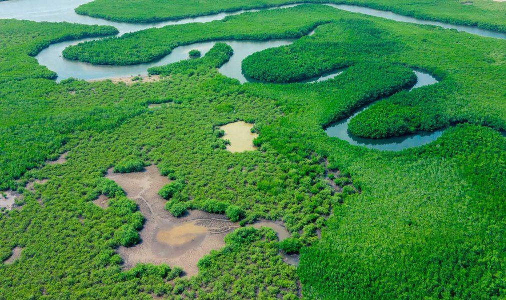 ríos-amazónicos-fuentes-de-agua-para-bogotá