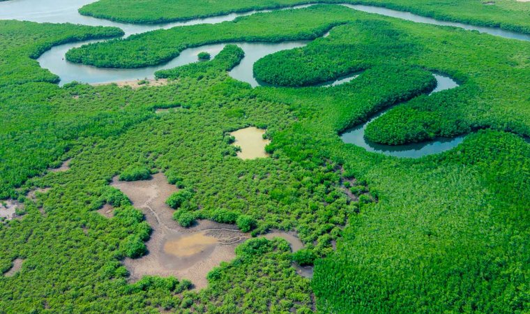 ríos-amazónicos-fuentes-de-agua-para-bogotá