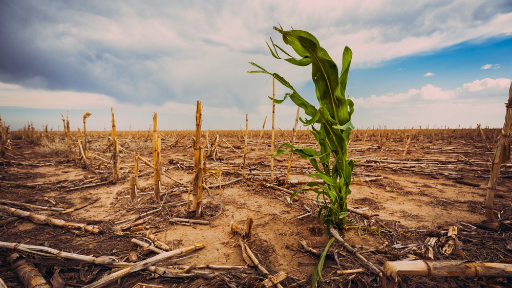 CAMBIO CLIMATICO