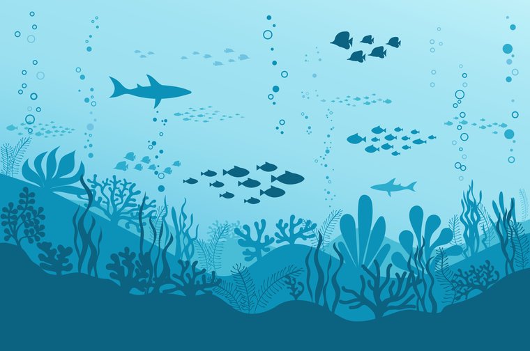 ecosistema marino