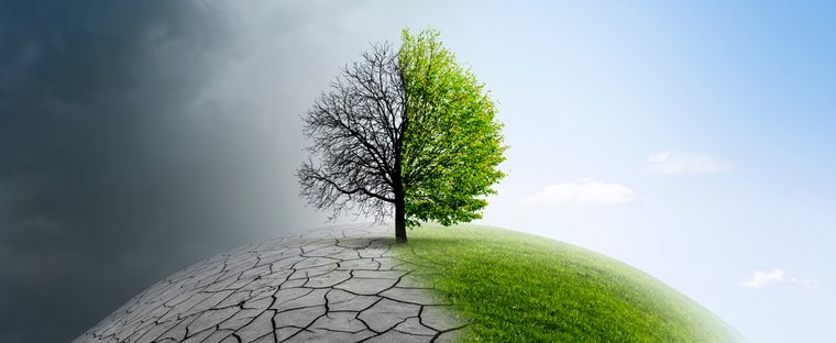 CAMBIO CLIMATICO