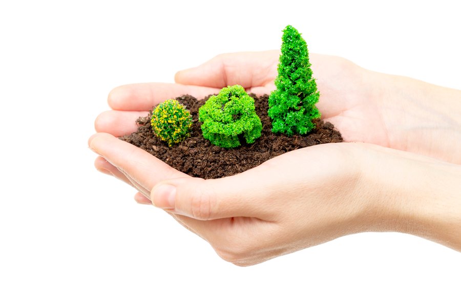 shutterstock_1897896193.jpg