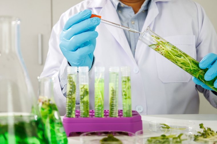 Ingeniería en Biotecnología