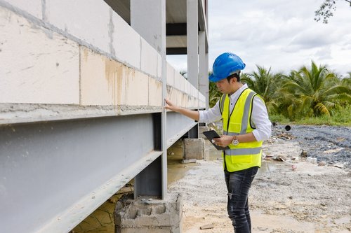 Ingenieria estructural