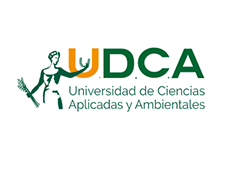 udca