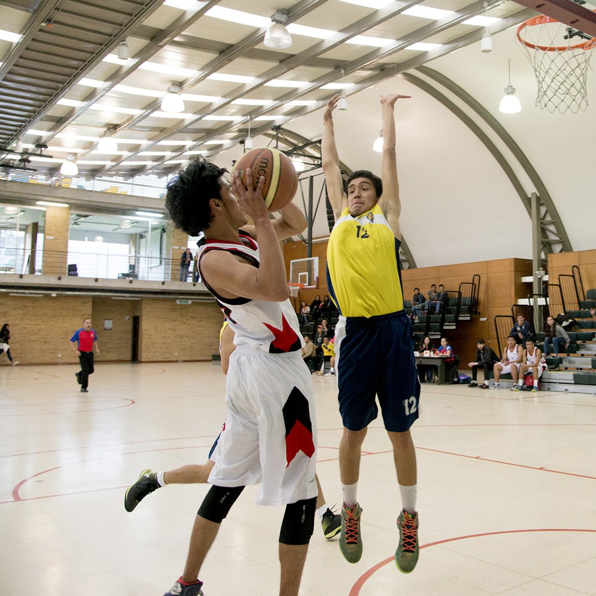 Baloncesto masculino.jpg