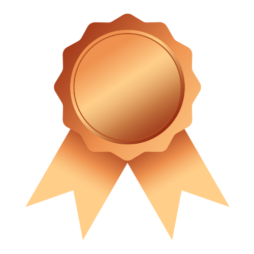 Bronze Award