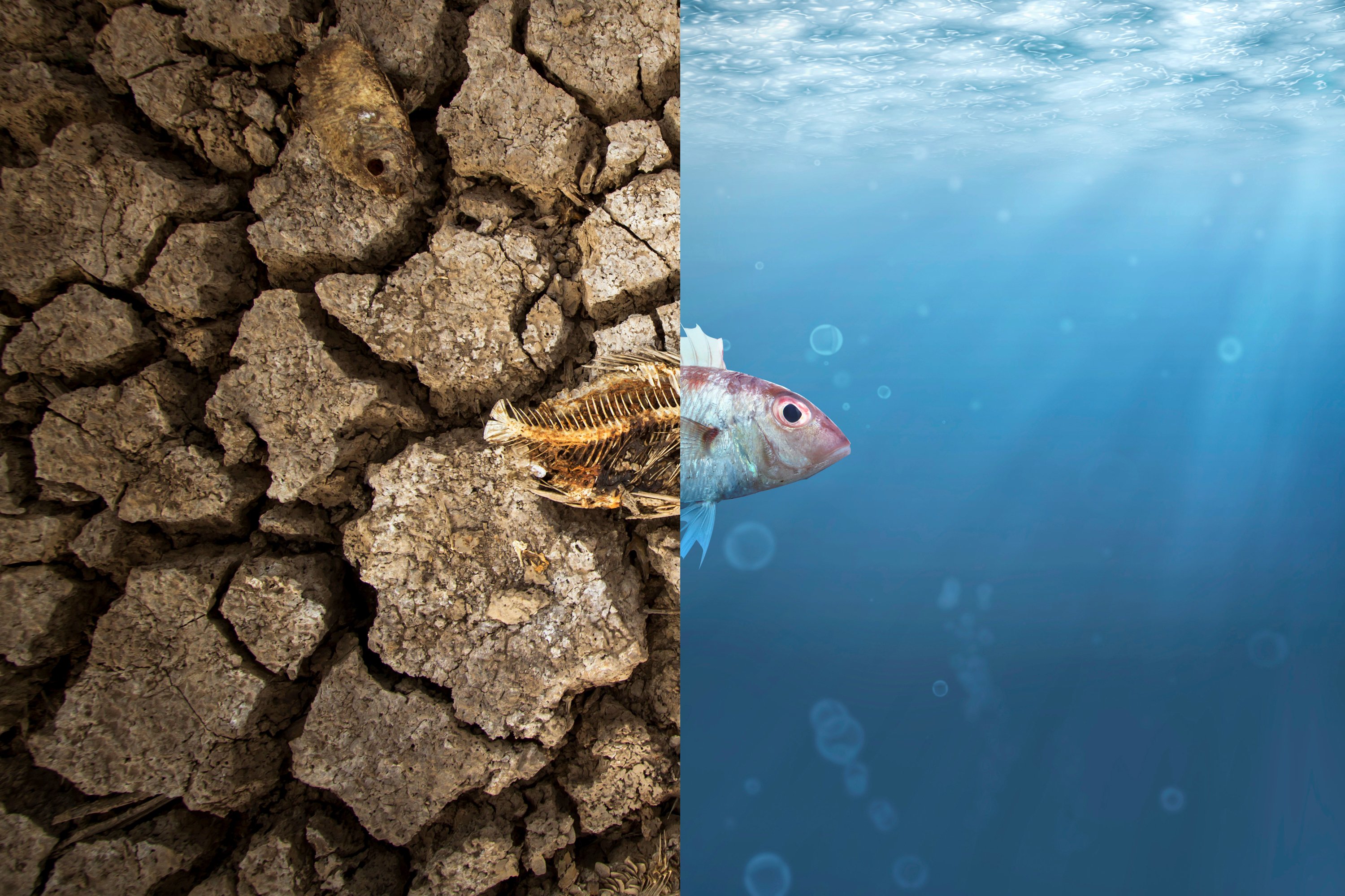 Herramientas-hidrológicas-de-análisis-para-proyectos-de-ingeniería-que-incorporen-cambio-climático.jpg