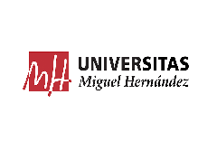 Universidad Miguel Hernández de Elche