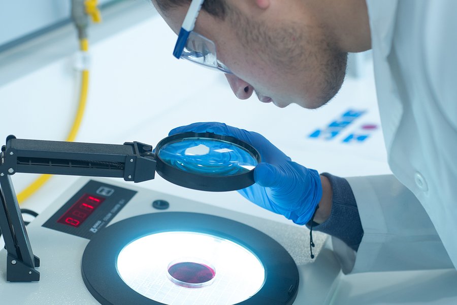 convocatorias investigación